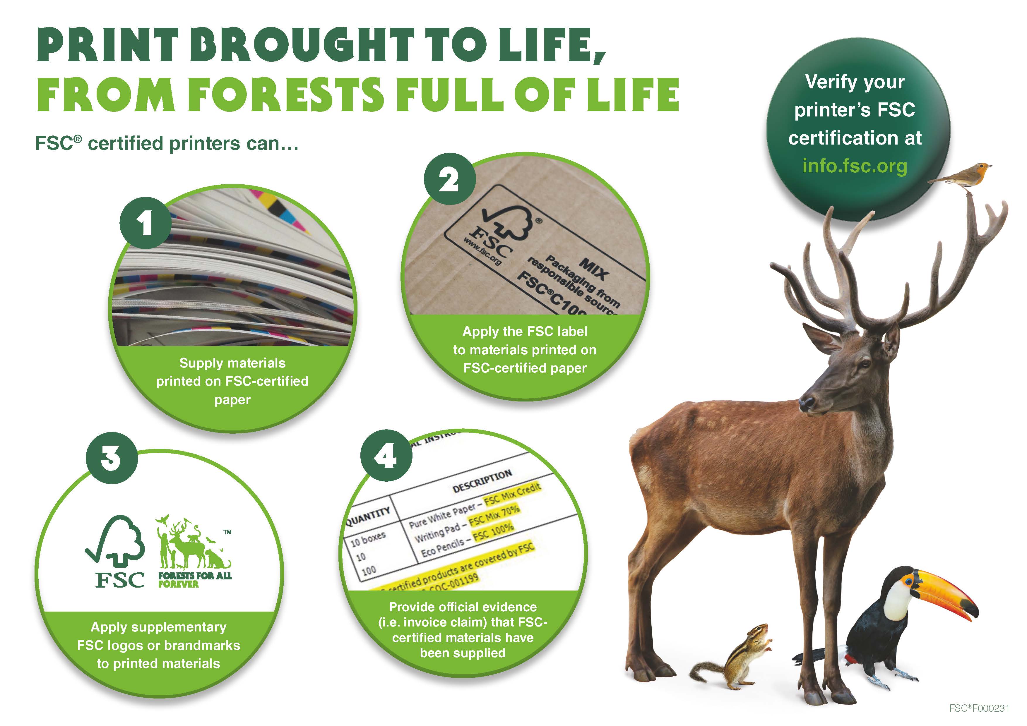 Paper & print Forest Stewardship Council